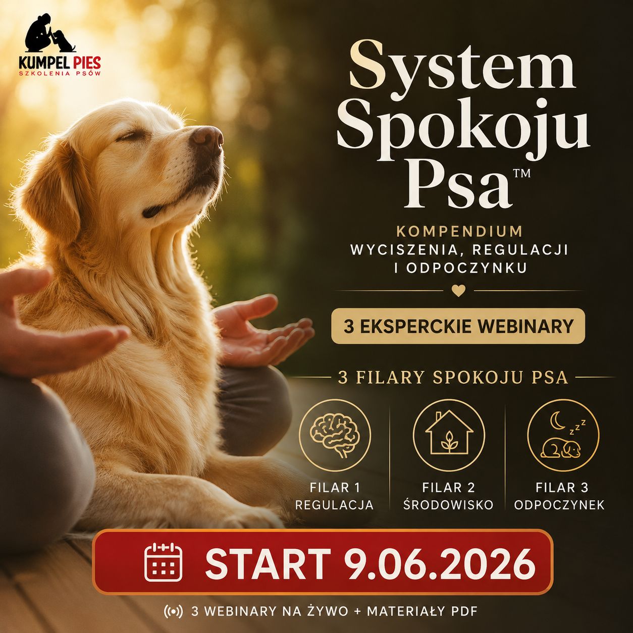 Kompendium wyciszenia psa - pakiet 3 webinarów i materiały