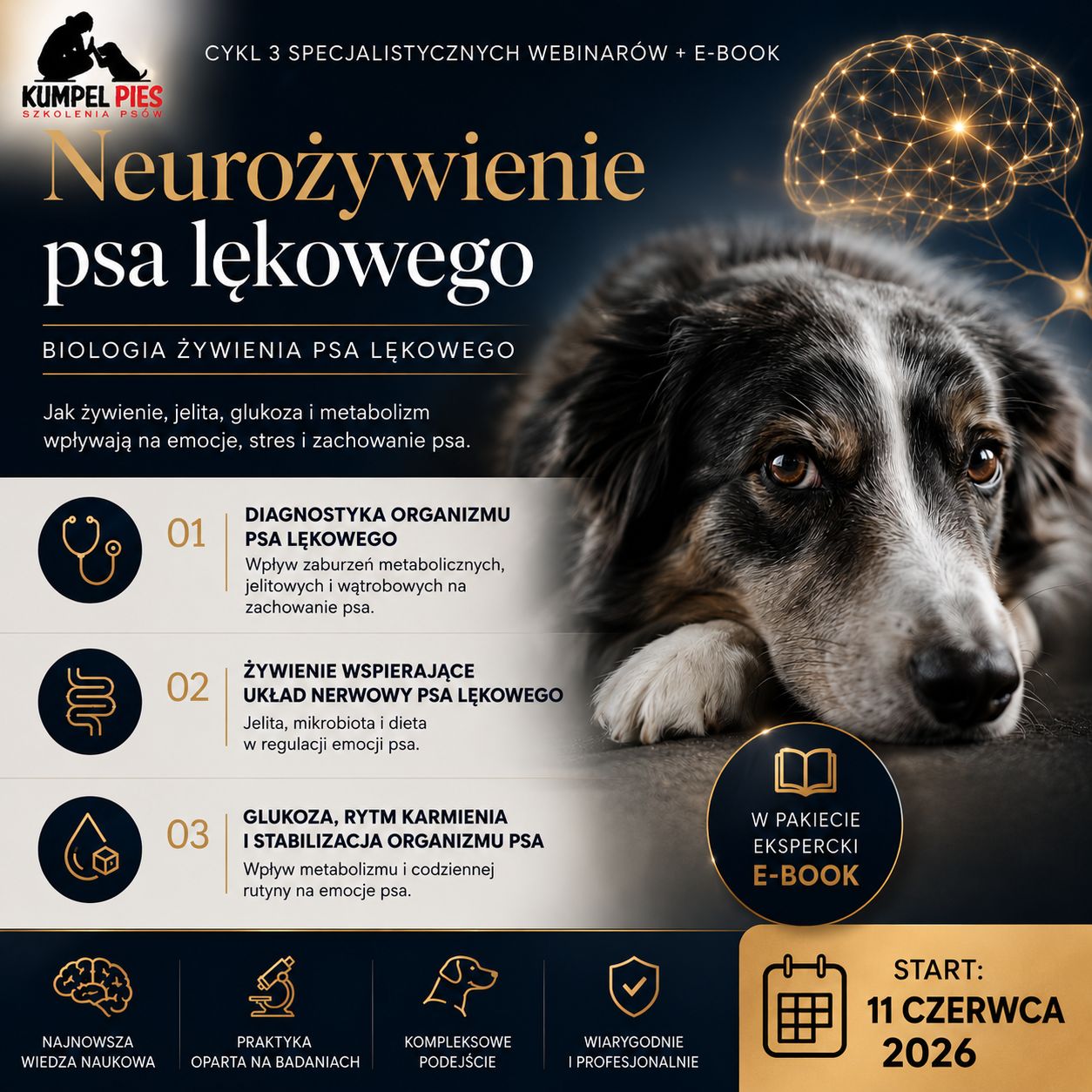 Neurożywienie psa lękowego