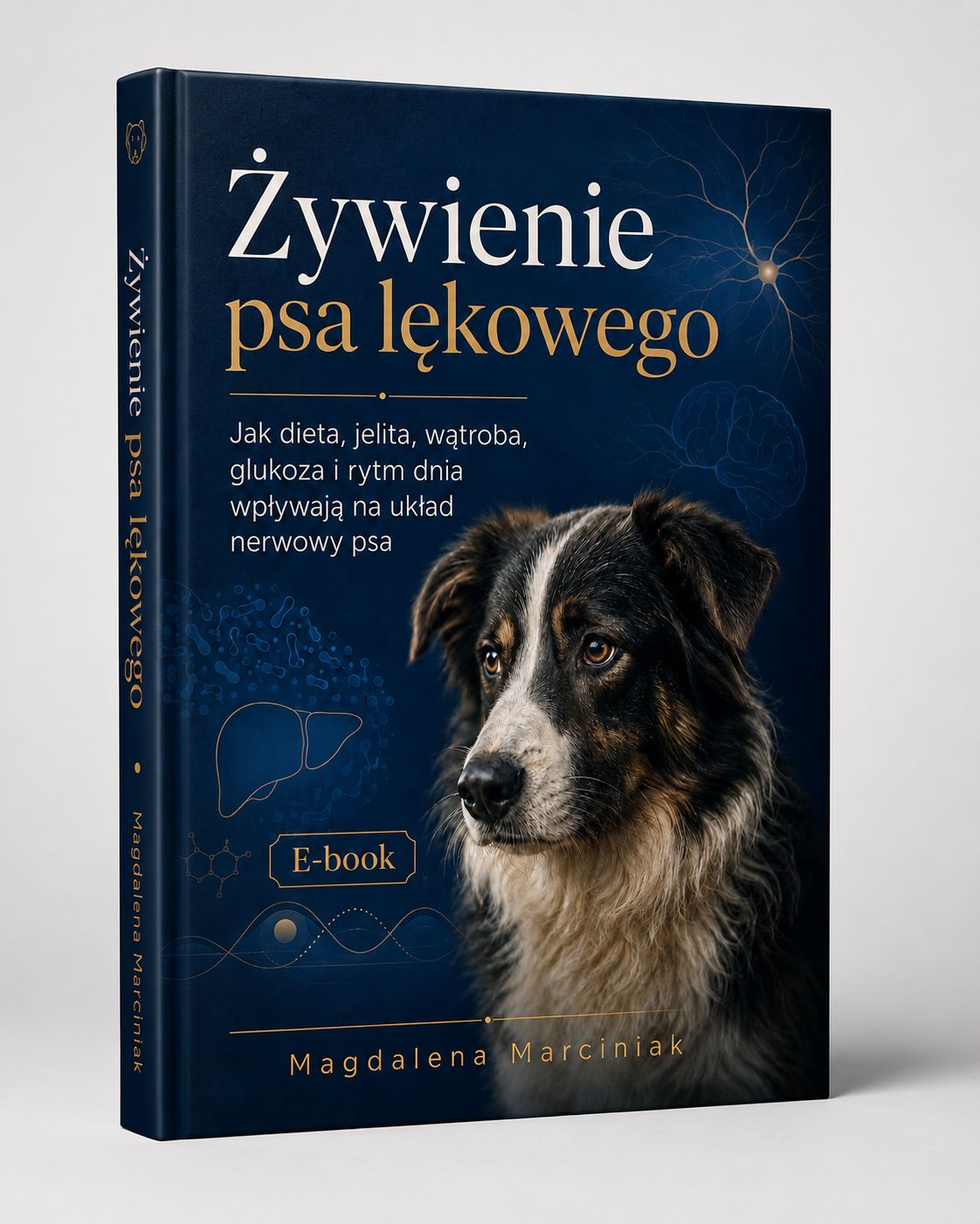 Żywienie psa lękowego