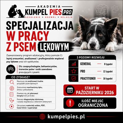 Akademia Kumpel Pies Pro. Specjalizacja w pracy z psem lękowym