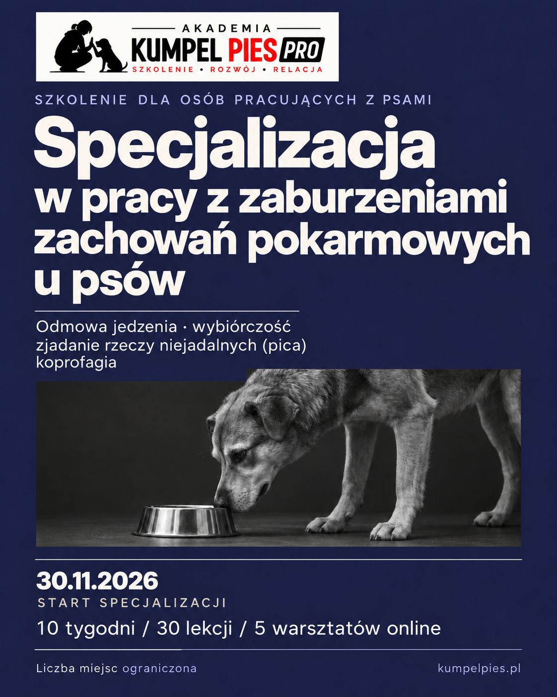 Specjalizacja w pracy z zaburzeniami zachowań pokarmowych u psów