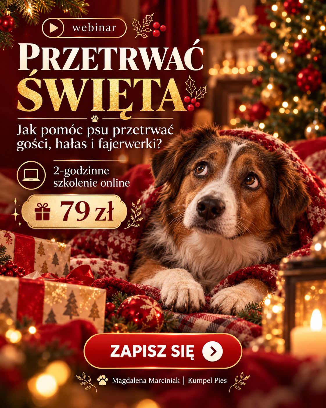 Przetrwać Święta. Jak pomóc psu przetrwać gości, hałas i fajerwerki