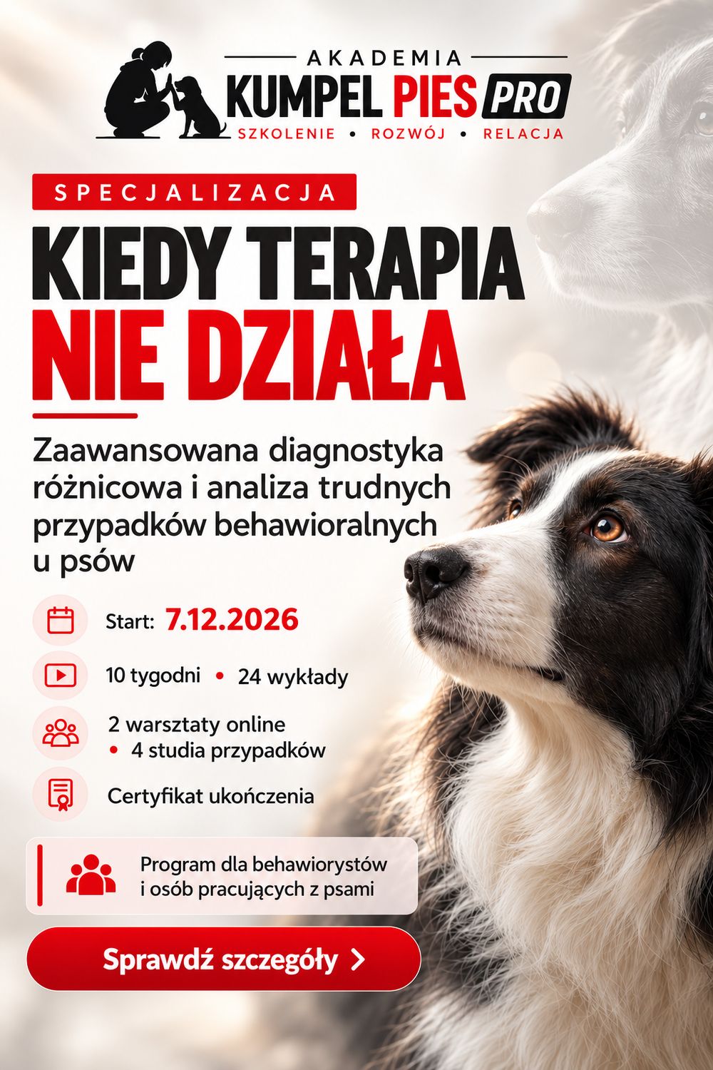 Kiedy terapia nie działa. Zaawansowana diagnostyka różnicowa i analiza trudnych przypadków behawioralnych u psów