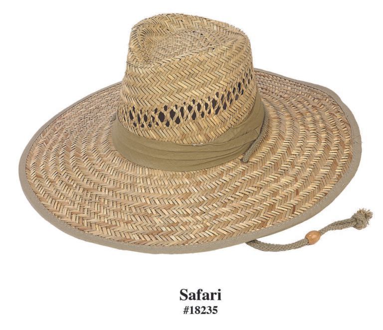 Safari