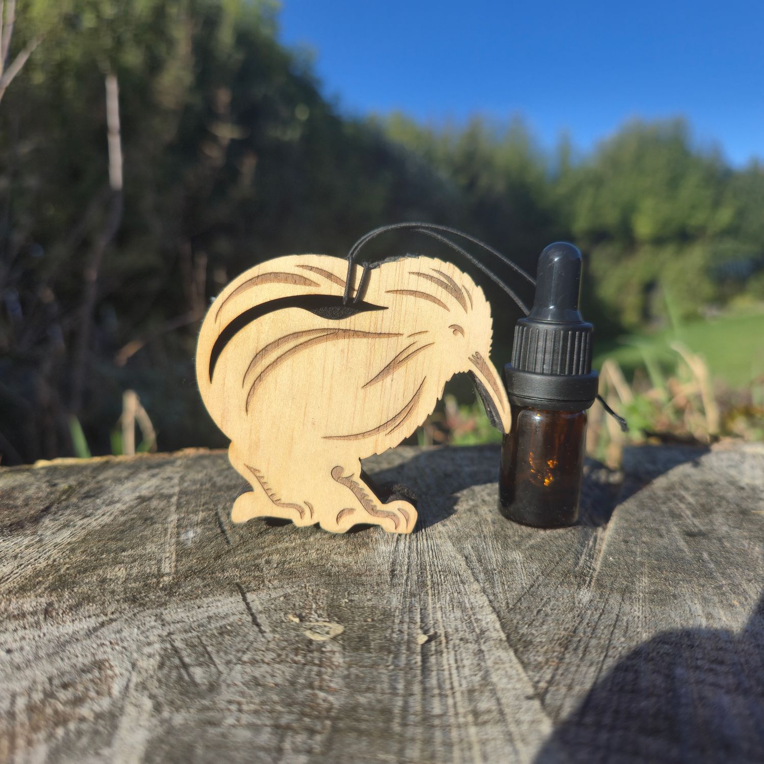 Kiwi Air Freshener (With scent bottle)