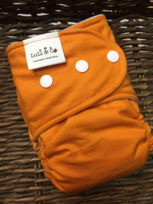 Snap In One-Burnt Orange (Petite) Snap In One-Burnt Orange (Petite)