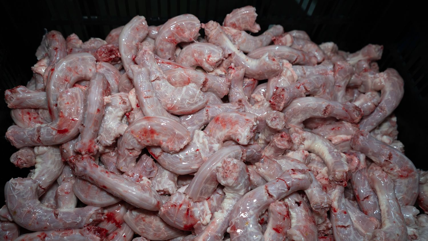Chicken Necks (5 Lbs/Bag)