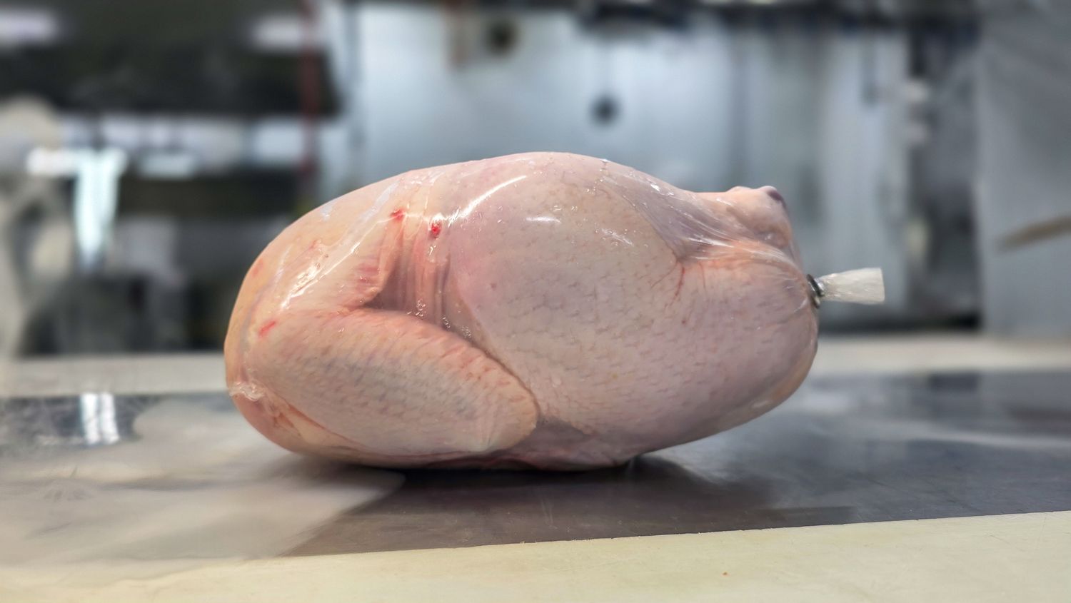Whole Chicken