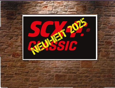 Brücke Überfahrt mit Stützen und Bergenzungsmauer SCXU10538