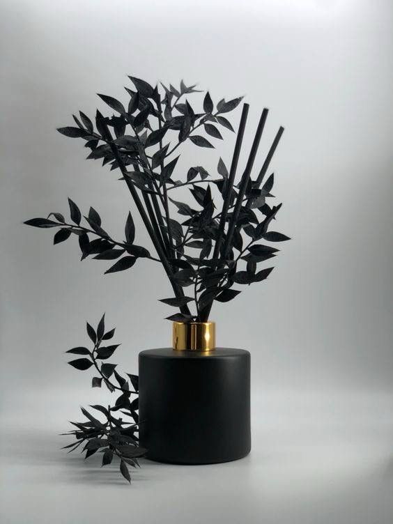 Noorah Noir — Black Leaves