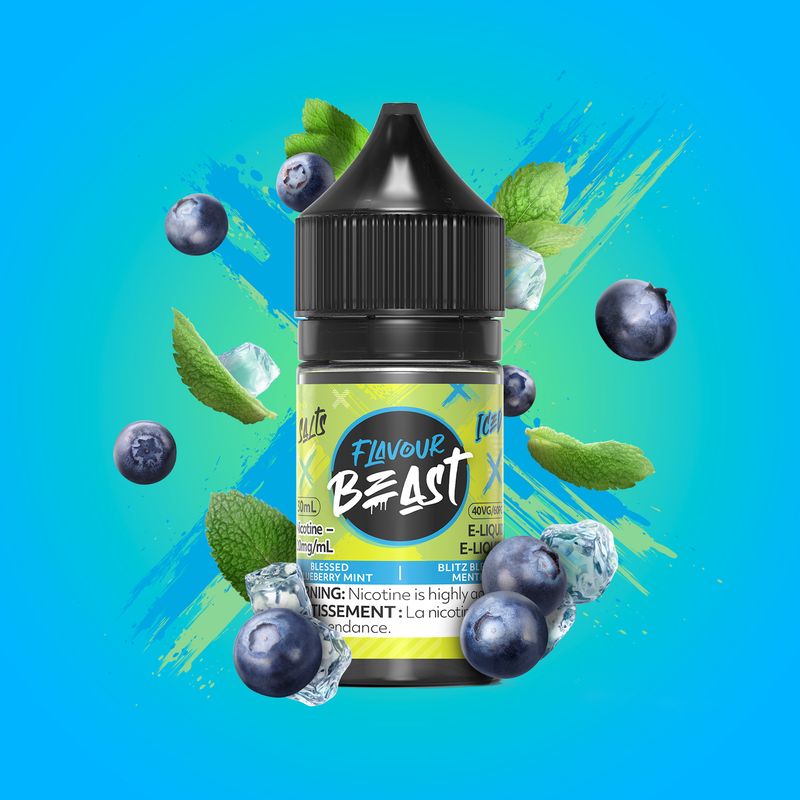 FB Salt Blessed Blueberry Mint 10mg