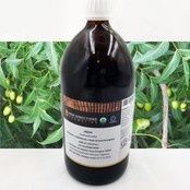 Plant Shine
