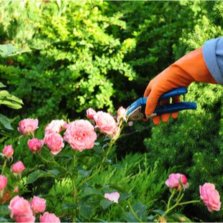 Gardening Tools &amp; Accessories