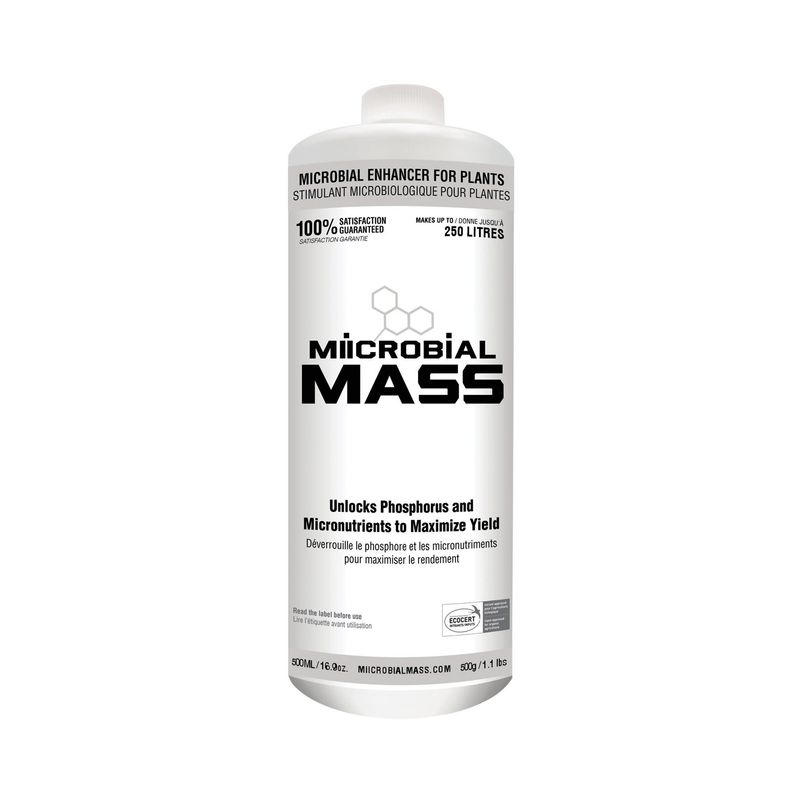 Miicrobial Mass