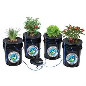 Alfred DWC 4-Plant System