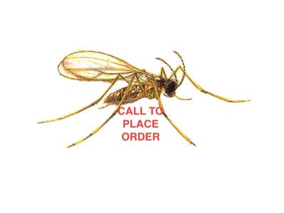 Beneficial Insects-Aphid Control Aphidoletes Pupa 250 Beneficial Insects-Aphid Control Aphidoletes Pupa 250