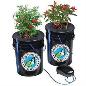 Alfred DWC 2-Plant System