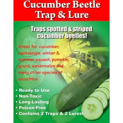 Cucumber Beetle Trap And Lure (2 Pack) Cucumber Beetle Trap And Lure (2 Pack)