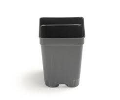 Square Plastic Pot 2.6" x 3.5"