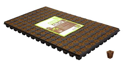 Eazy Plug Tray (66 Plugs)