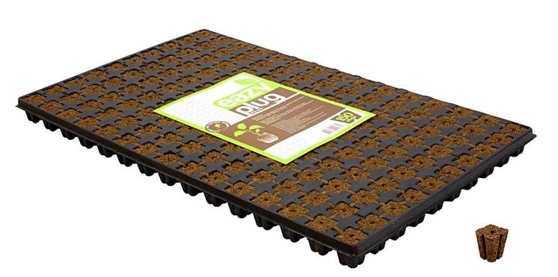 Eazy Plug Tray (66 Plugs)
