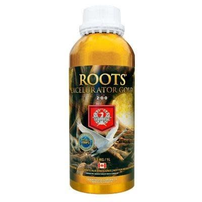 Roots Excelurator 