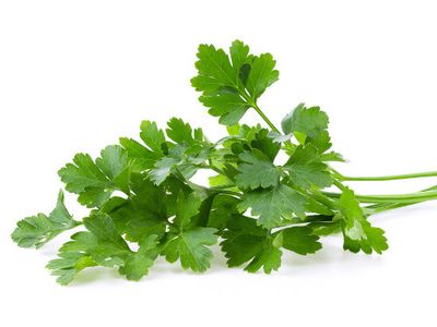 Organic Italian Dark Green Parsley Seeds