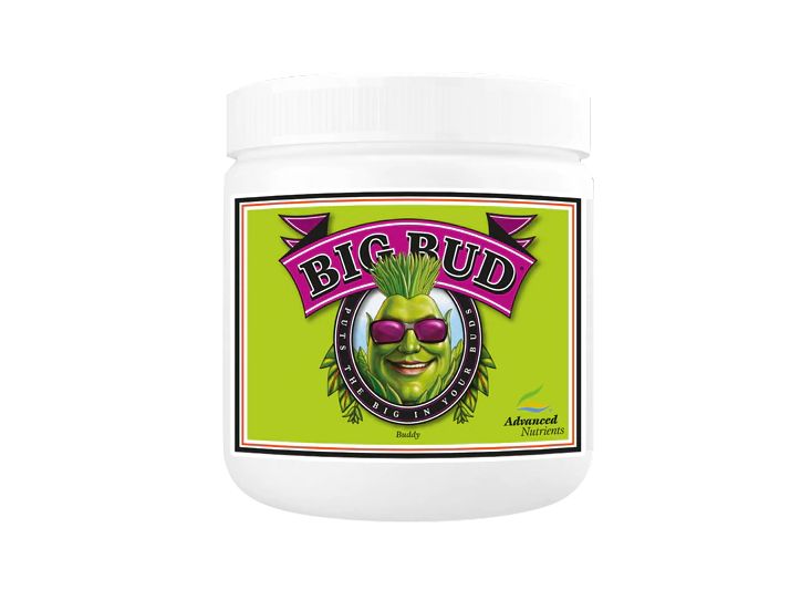 Big Bud Powder 130g