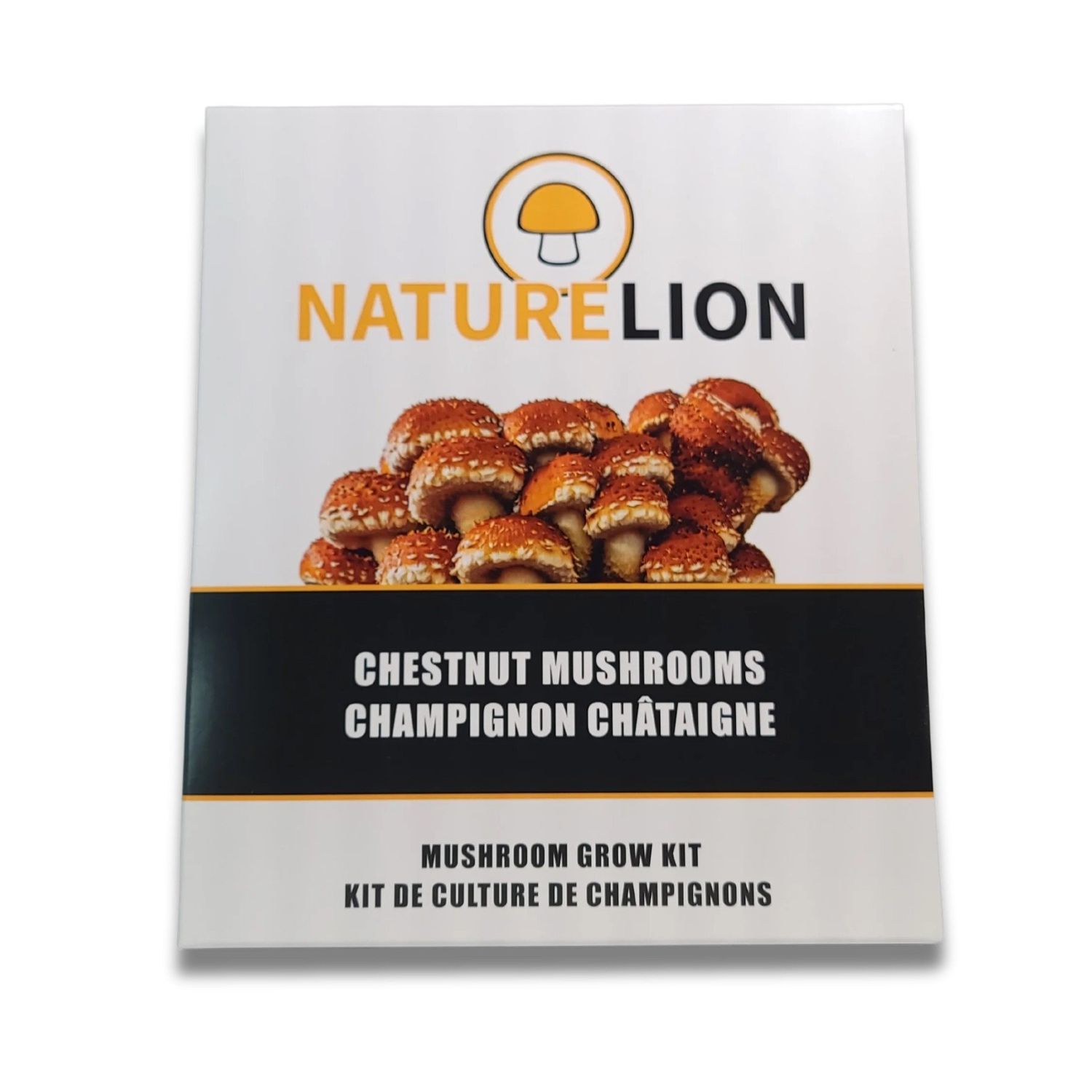 Chestnut Mushroom Grow Kit