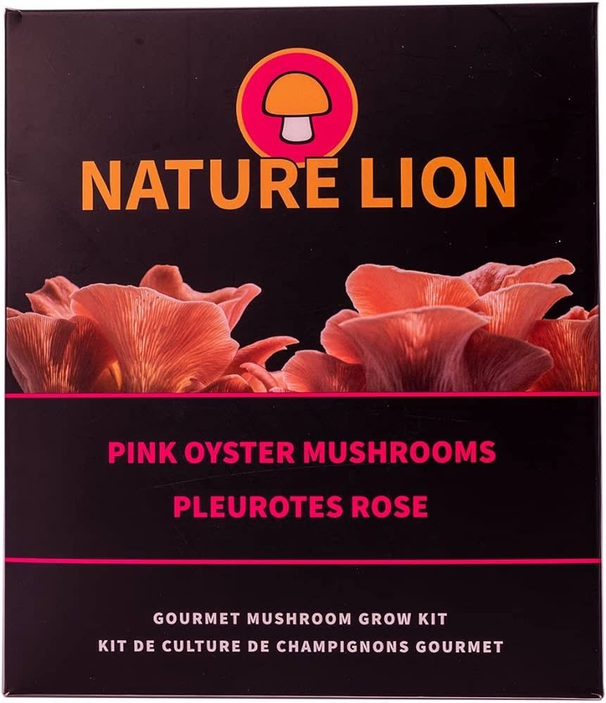 Pink Oyster Mushroom Grow Kit