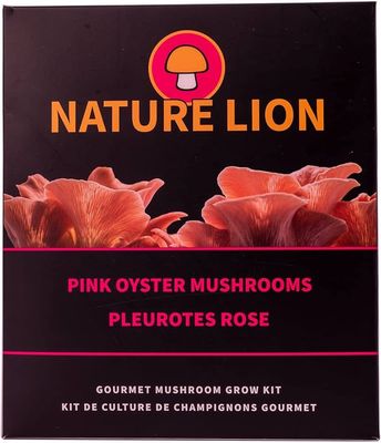 Pink Oyster Mushroom Grow Kit