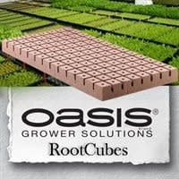 Rootcubes 1.25&quot; Med (5010) 104/sheet