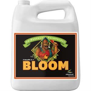 pH Perfect Bloom 4L