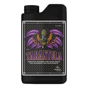 Tarantula 