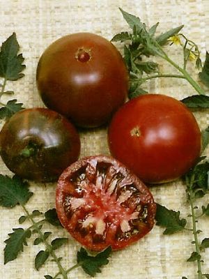 Organic Black Krim Tomato Seeds