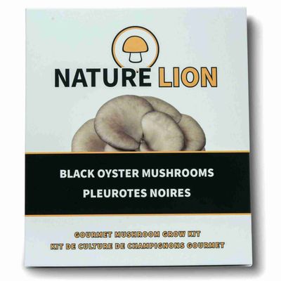 Black Oyster Mushrooms Grow Kit