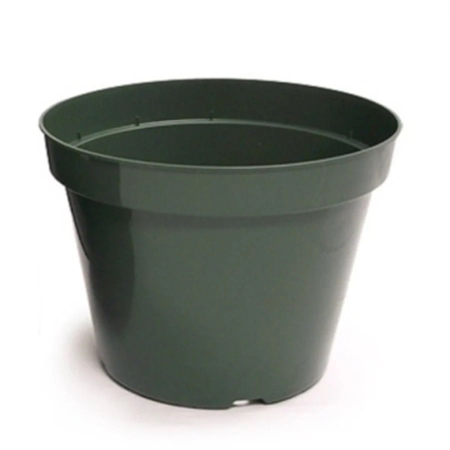 Azalea Green Plastic Pot 5&quot;