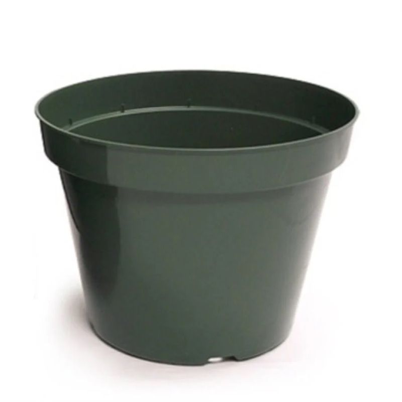 Azalea Green Plastic Pot 5&quot;