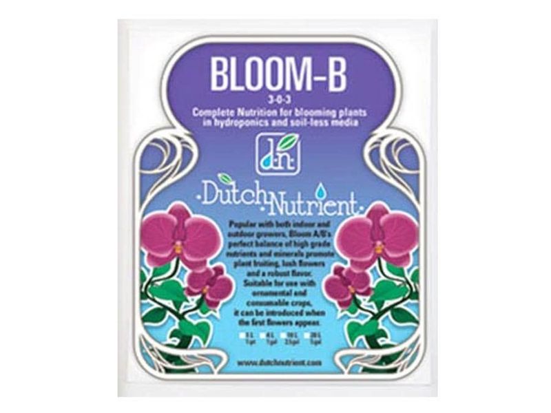 DNF Bloom B 4L