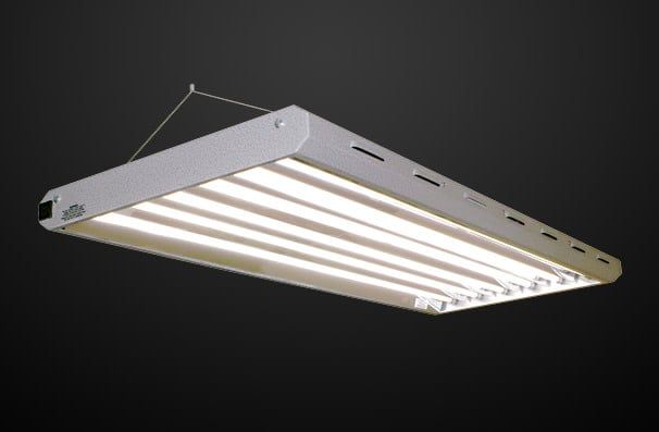 LightEnerG Pro Light T5 HO Lamp Fixture 4ft 6