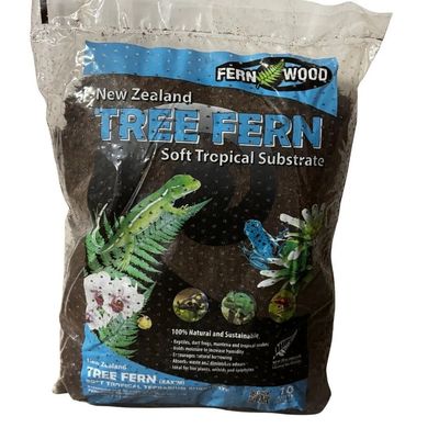 Fernwood New Zealand Tree Fern 10L