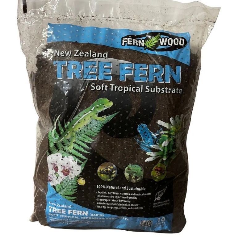 Fernwood New Zealand Tree Fern 10L