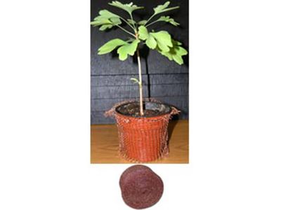 Slug &amp; Snail Control- Copper Stopper