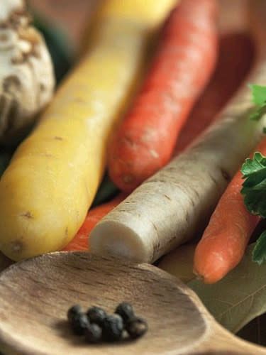 Carrot Culinary Blend Seeds