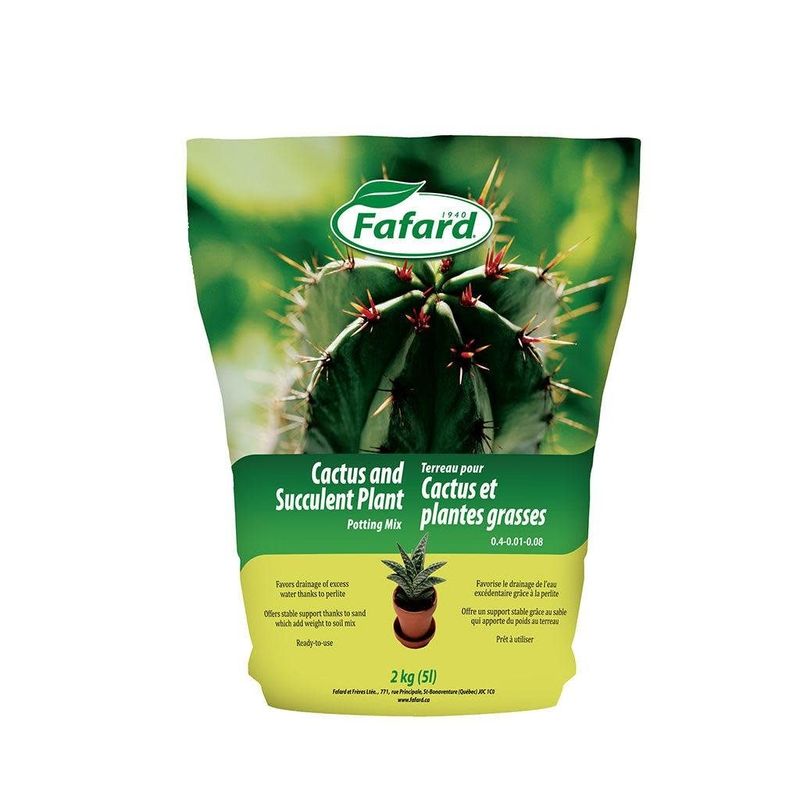 Cactus and Succulent Plant Potting Mix 5L (2 kg)