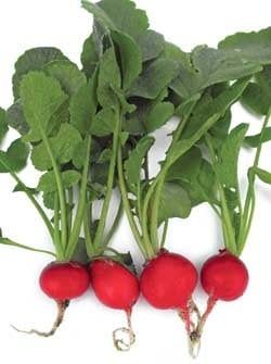 Cherrybelle Radish Seeds