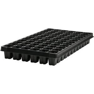 Mondi Plug Tray 72 cells