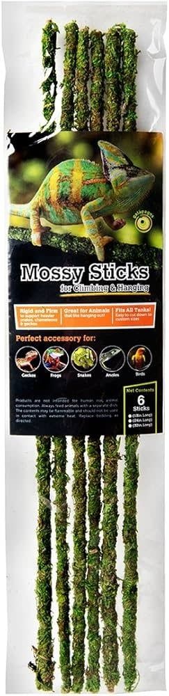 Galapagos Mossy Sticks, Size: 18&quot;