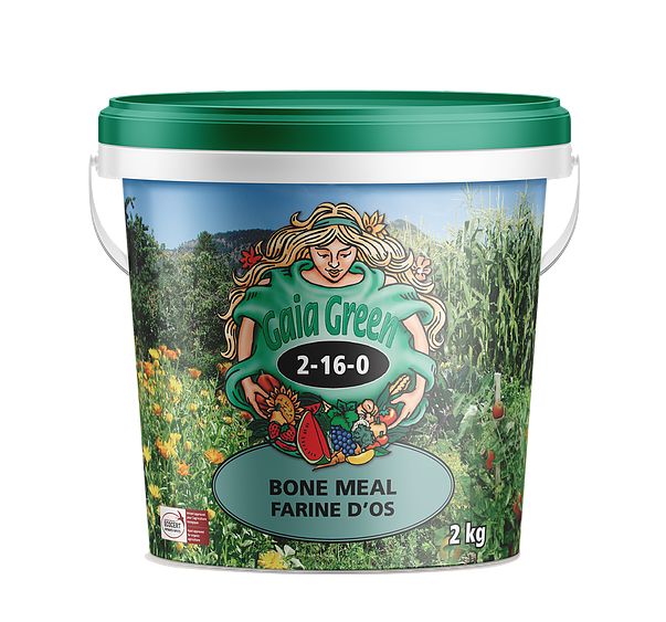 Gaia Green Bone Meal, Size: 2kg