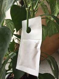 Beneficial Insects-Thrip Control Neoseiulus Cucumeris – Controlled Release Sachet, Size: 350mites (1 bag)
